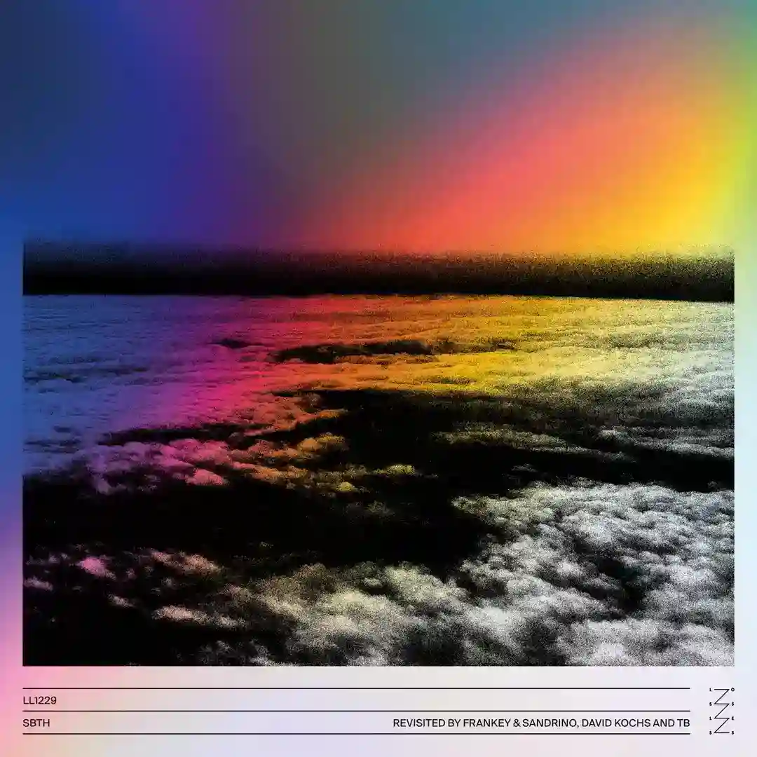 204D (David Kochs 202X Remix) cover