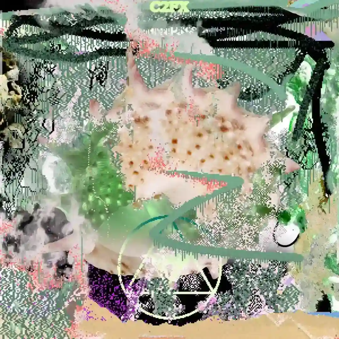 Kyoto cover
