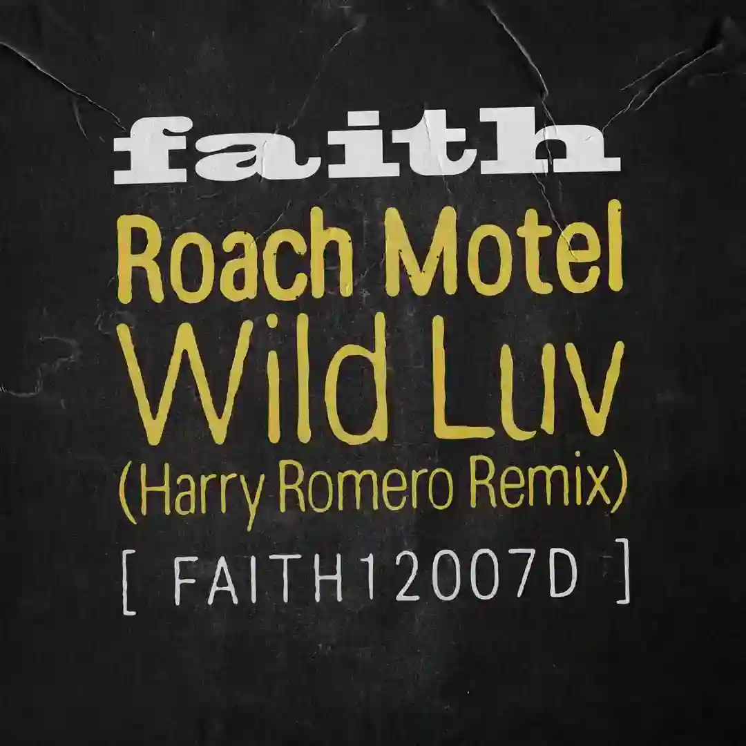 Wild Luv (Harry Romero Extended Remix) cover