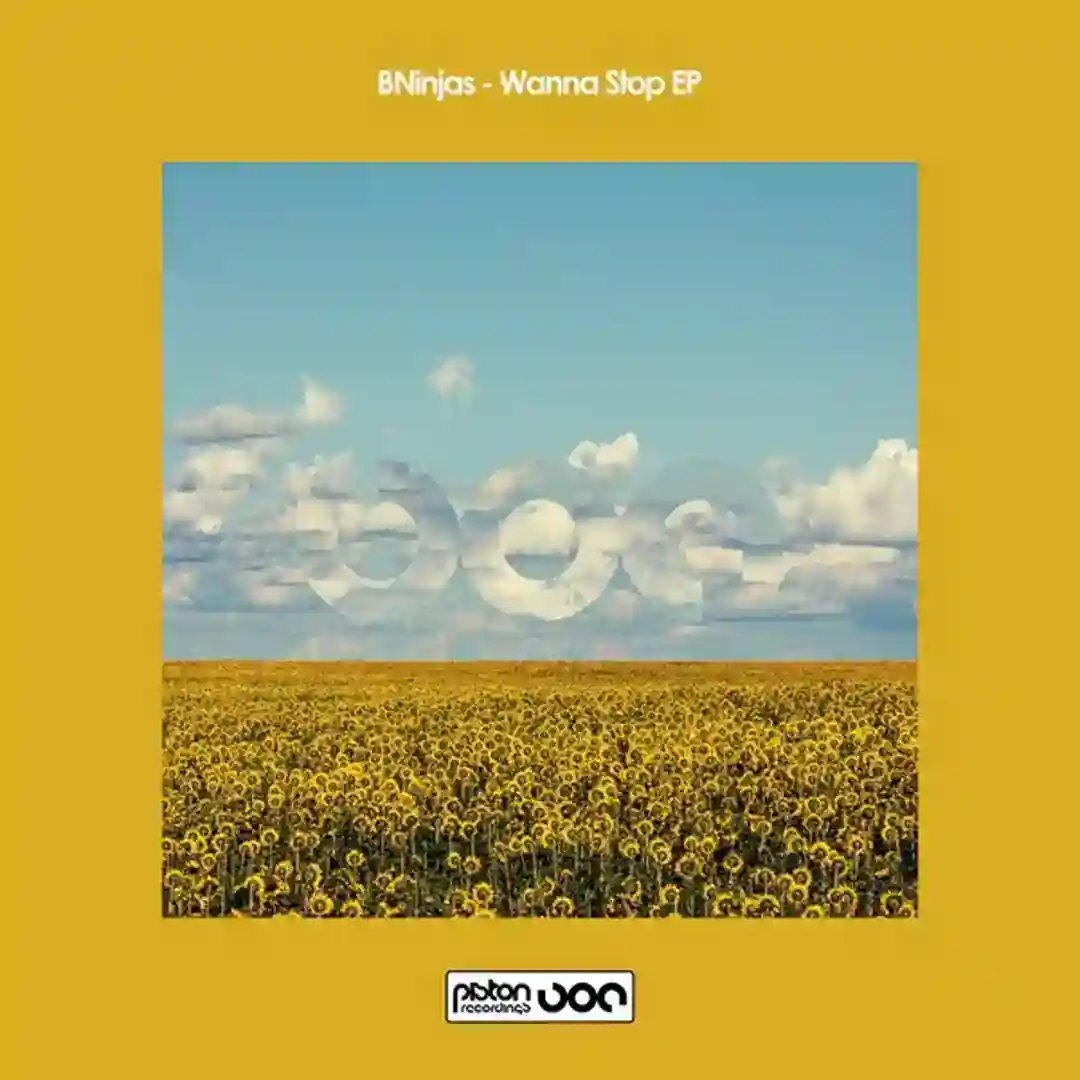 Wanna Stop EP cover
