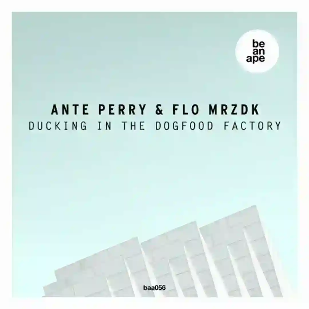 Ducking in the Dogfood Factory (Radio Edit) cover