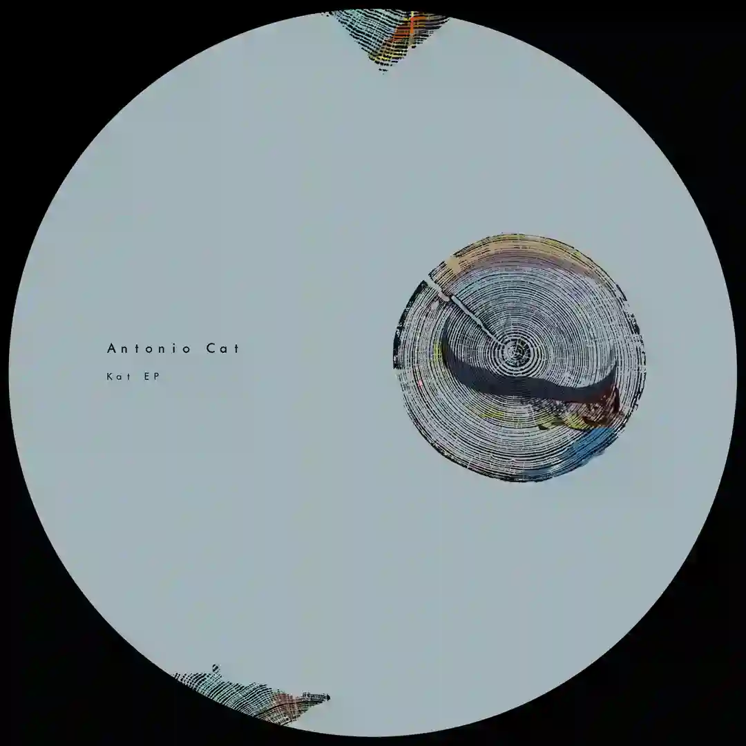 Kat (Original Mix) cover