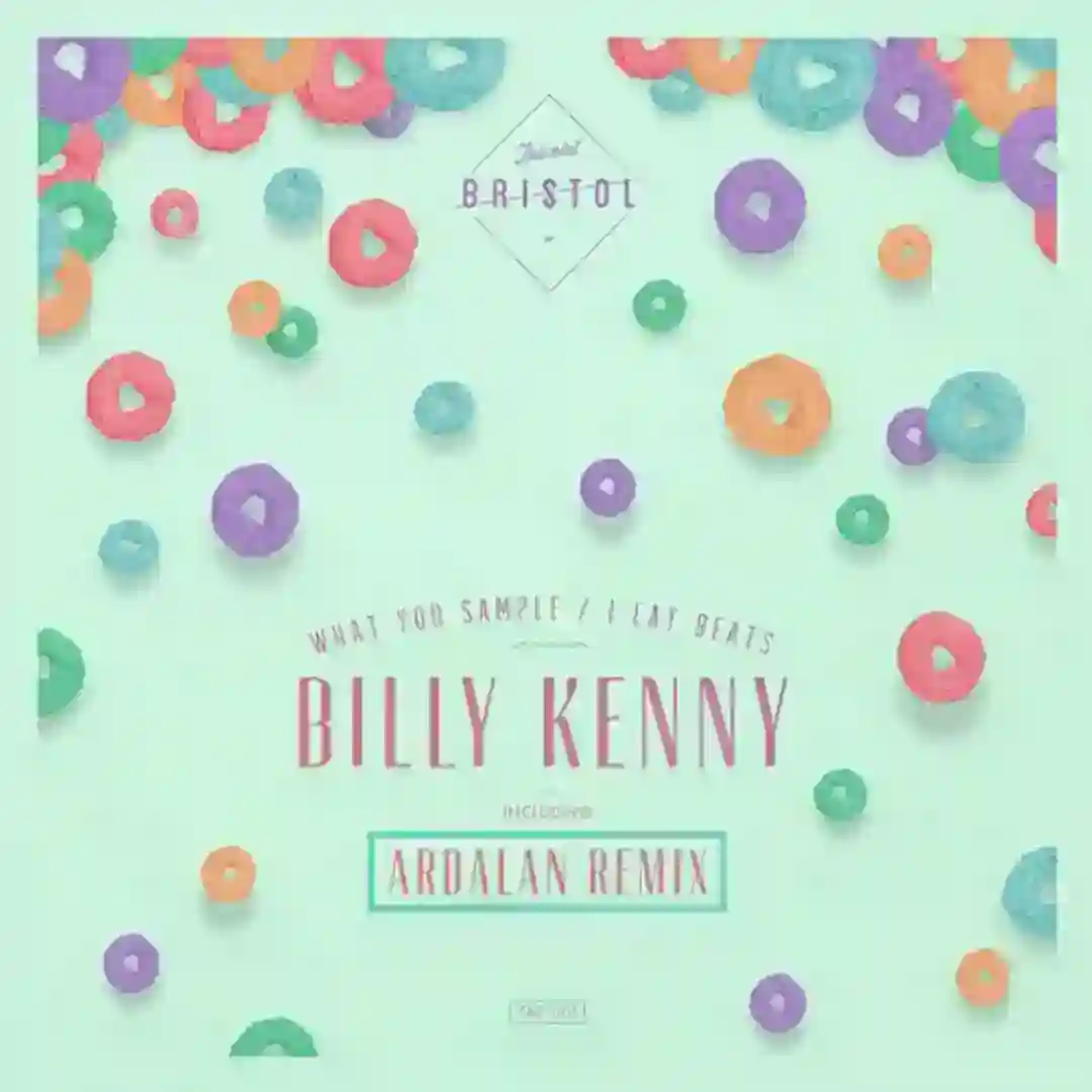 What You Sample cover