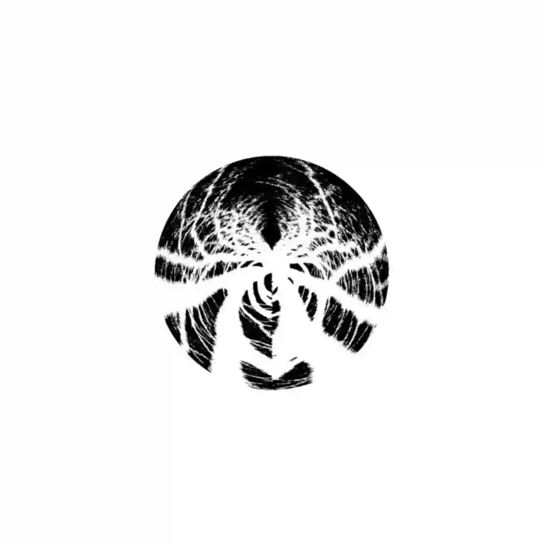Dark Forest Theory (Properly Lost Mix) cover