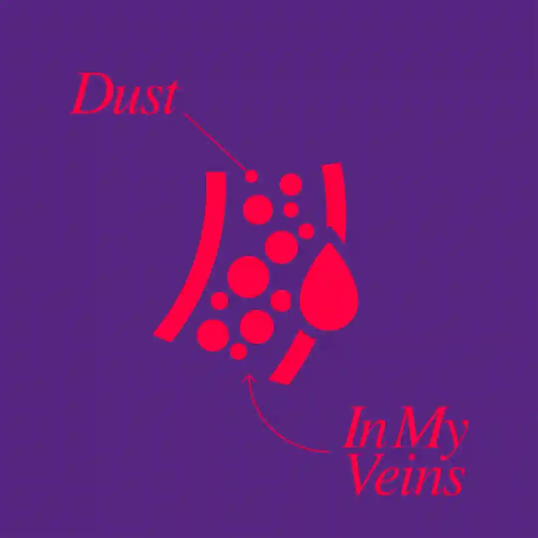 Dust In My Veins (Extended Mix) cover