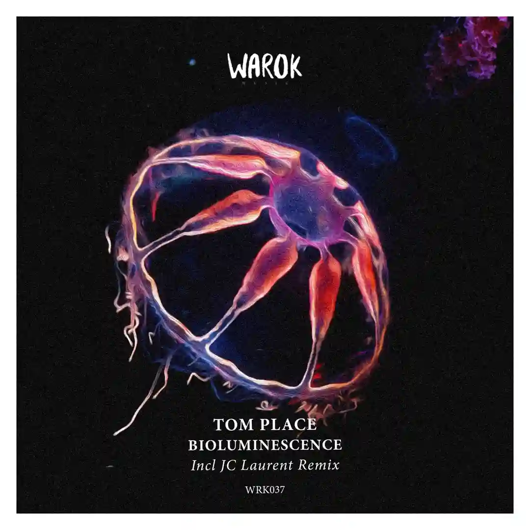 Simple Maths (JC Laurent Remix) cover