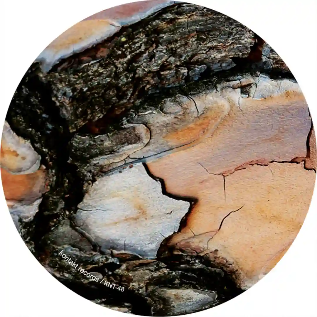 Transsipiisi (Original Mix) cover