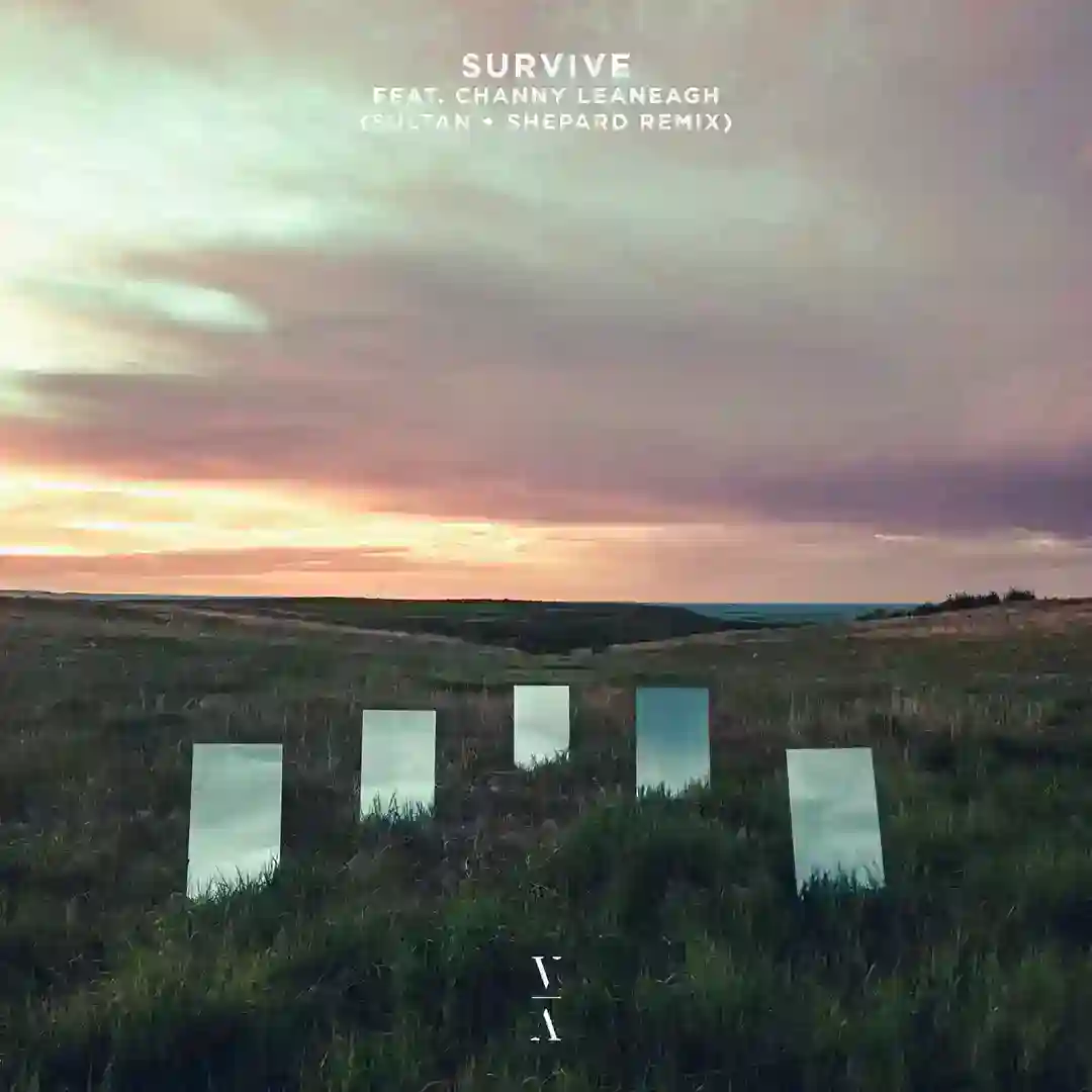 Survive feat. Channy Leaneagh cover