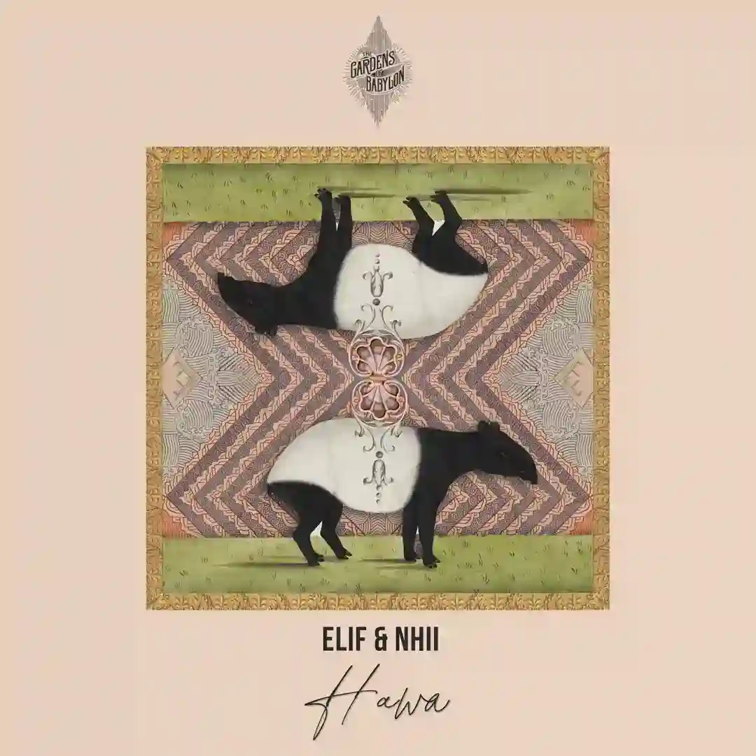 Hawa cover