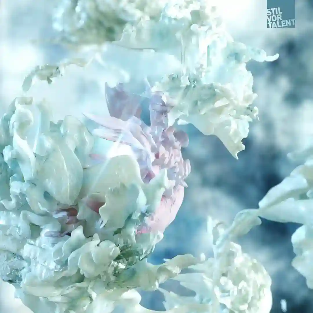 Beide Alleine cover
