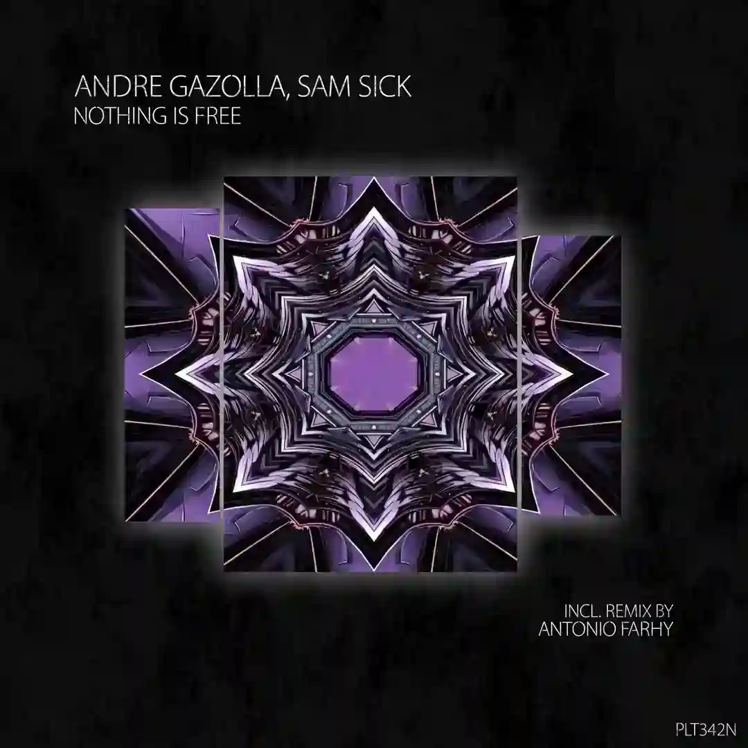 Nothing Is Free (Extended Mix) cover
