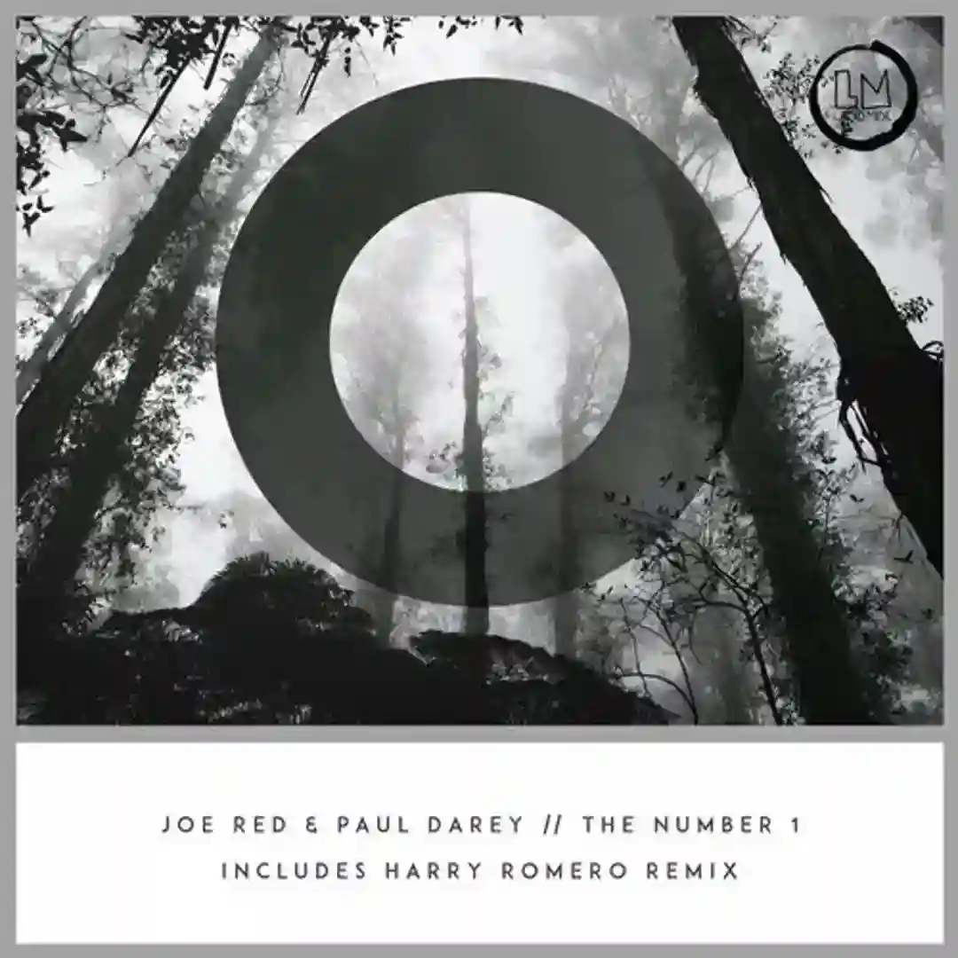 The Number 1 (Harry Romero's Deep In Jersey Remix) cover
