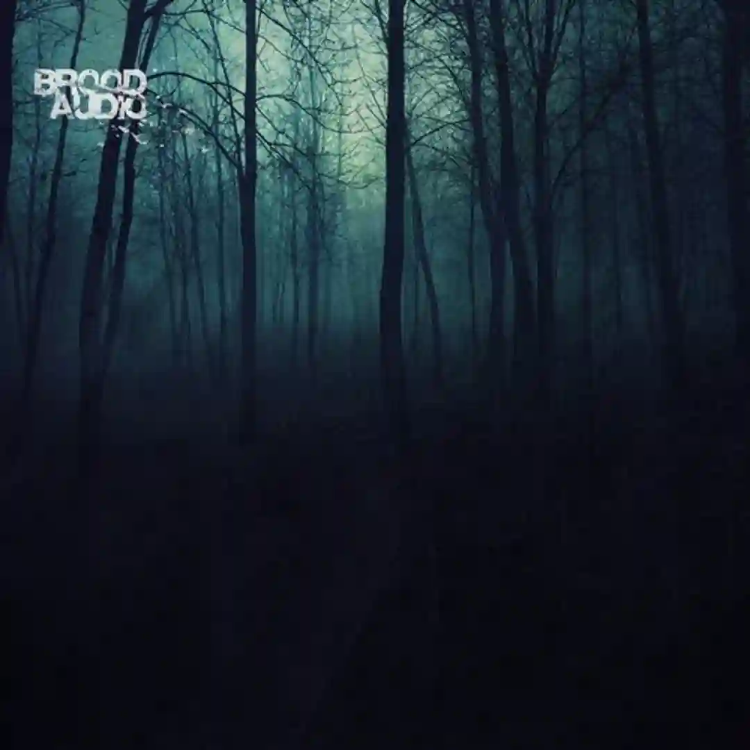 Cold Yamadori (Original Mix) cover