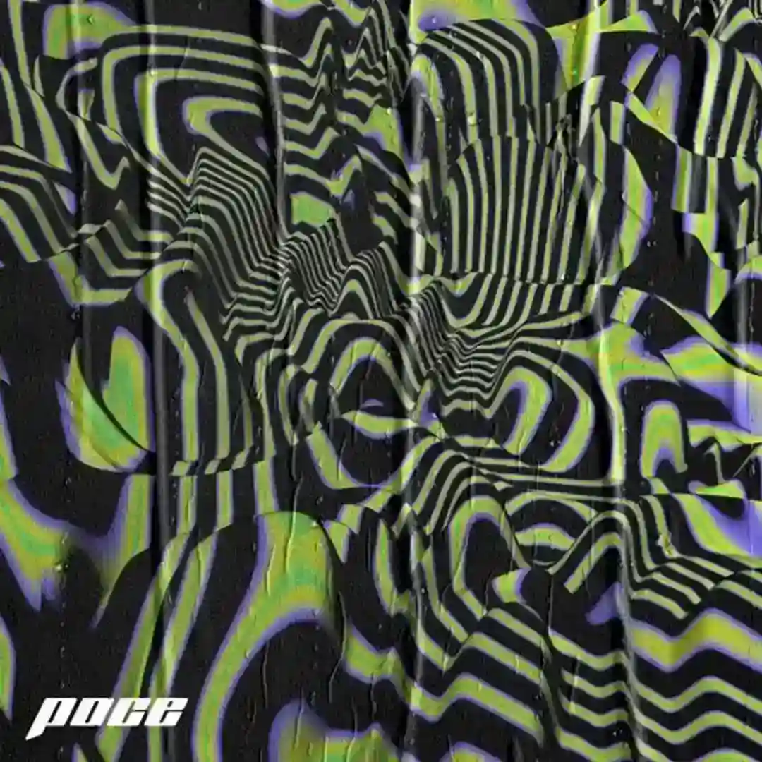 Collective2020 cover
