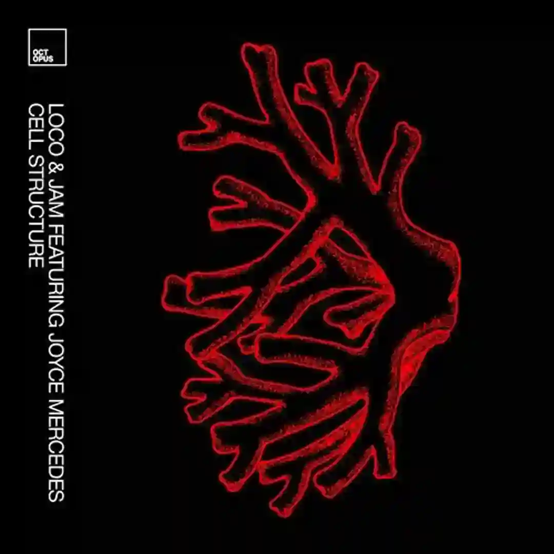 Cell Structure (Original Mix) cover