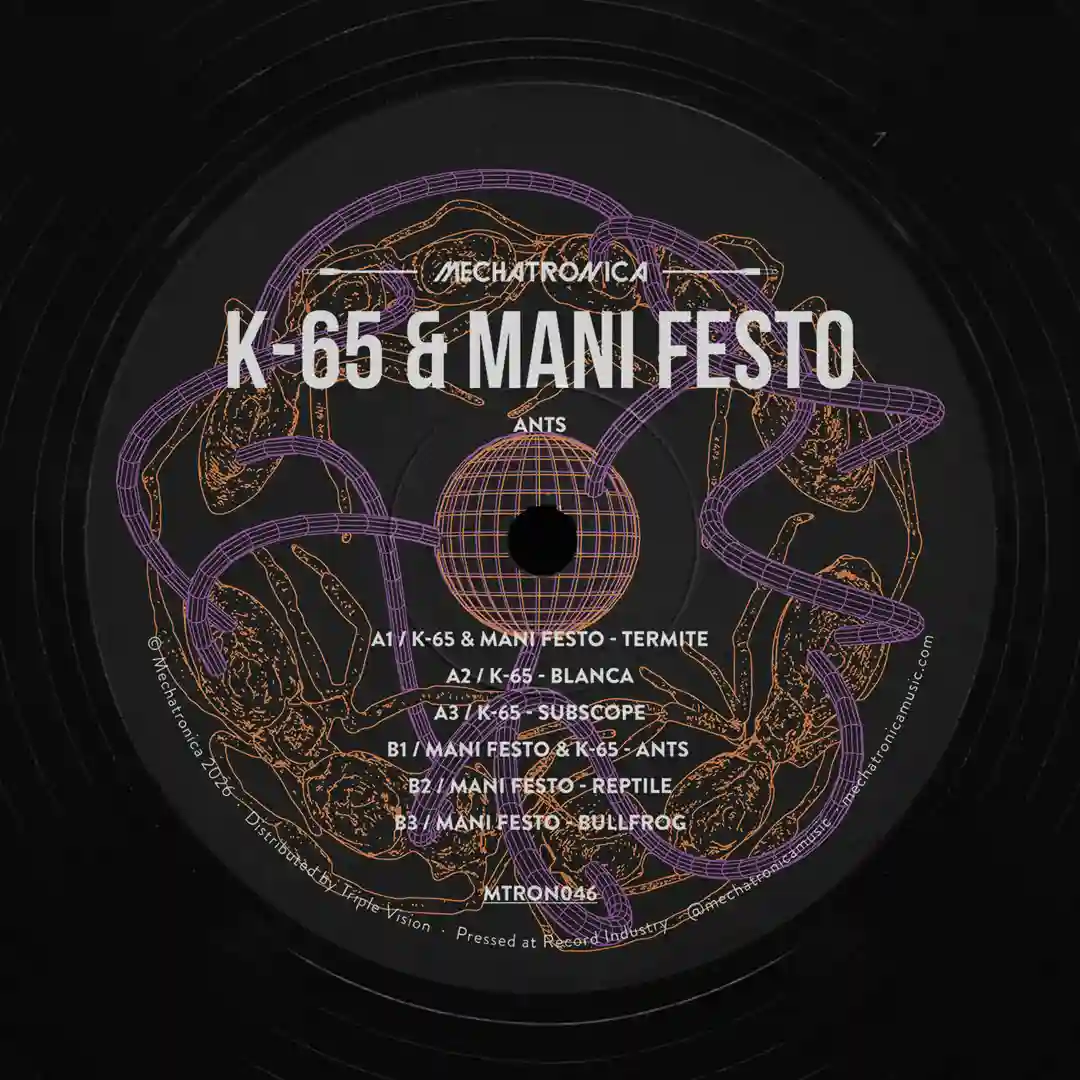 Blanca (Original Mix) cover