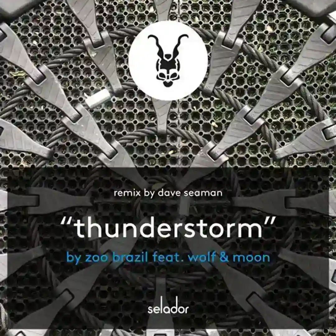 Thunderstorm (Original Radio Edit) cover