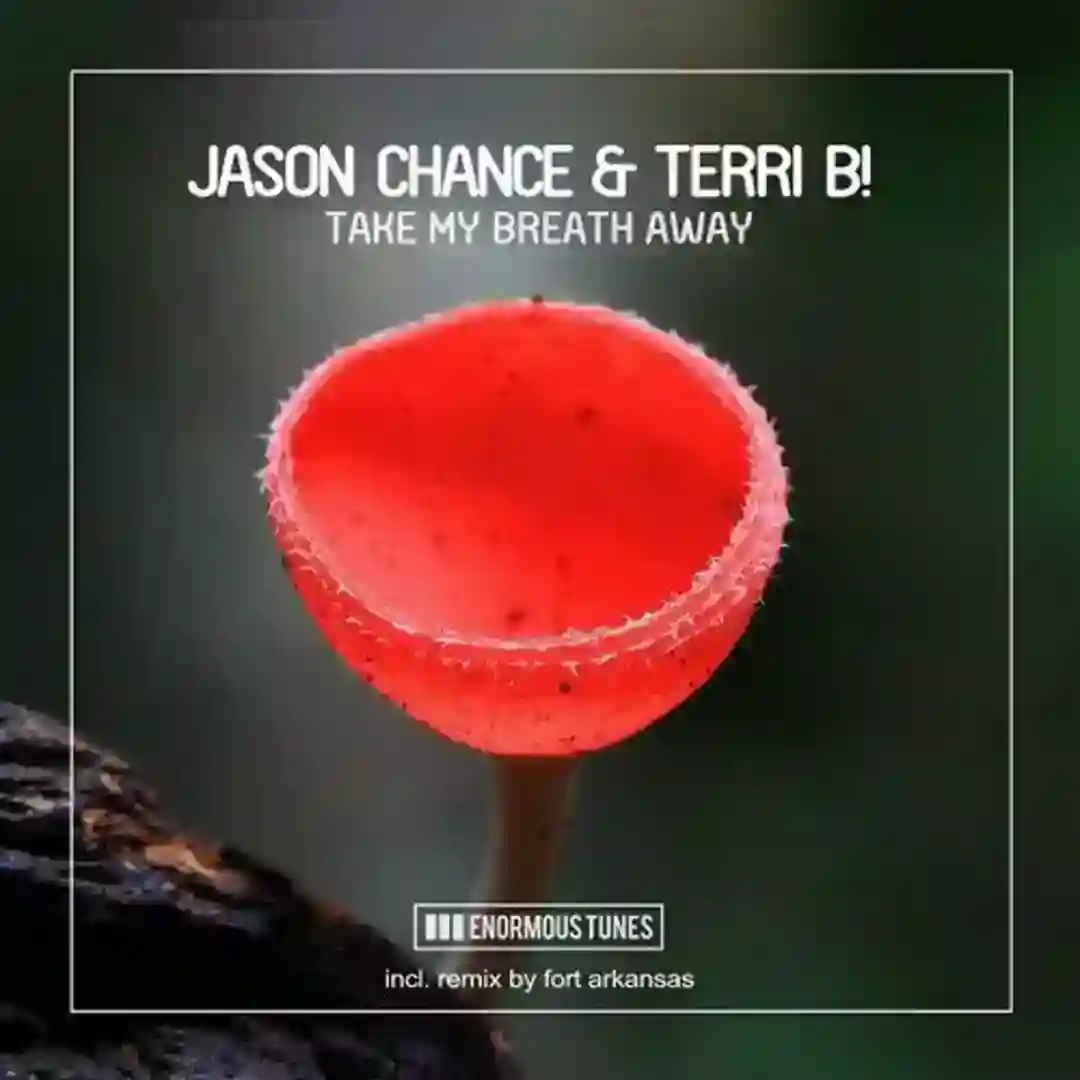 Take My Breath Away (Original Mix) cover