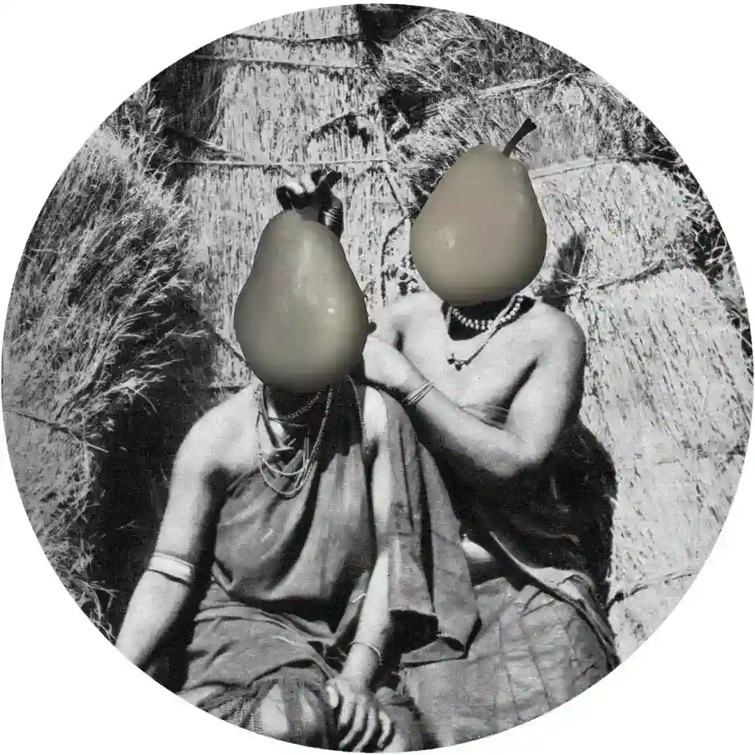 Jungly cover