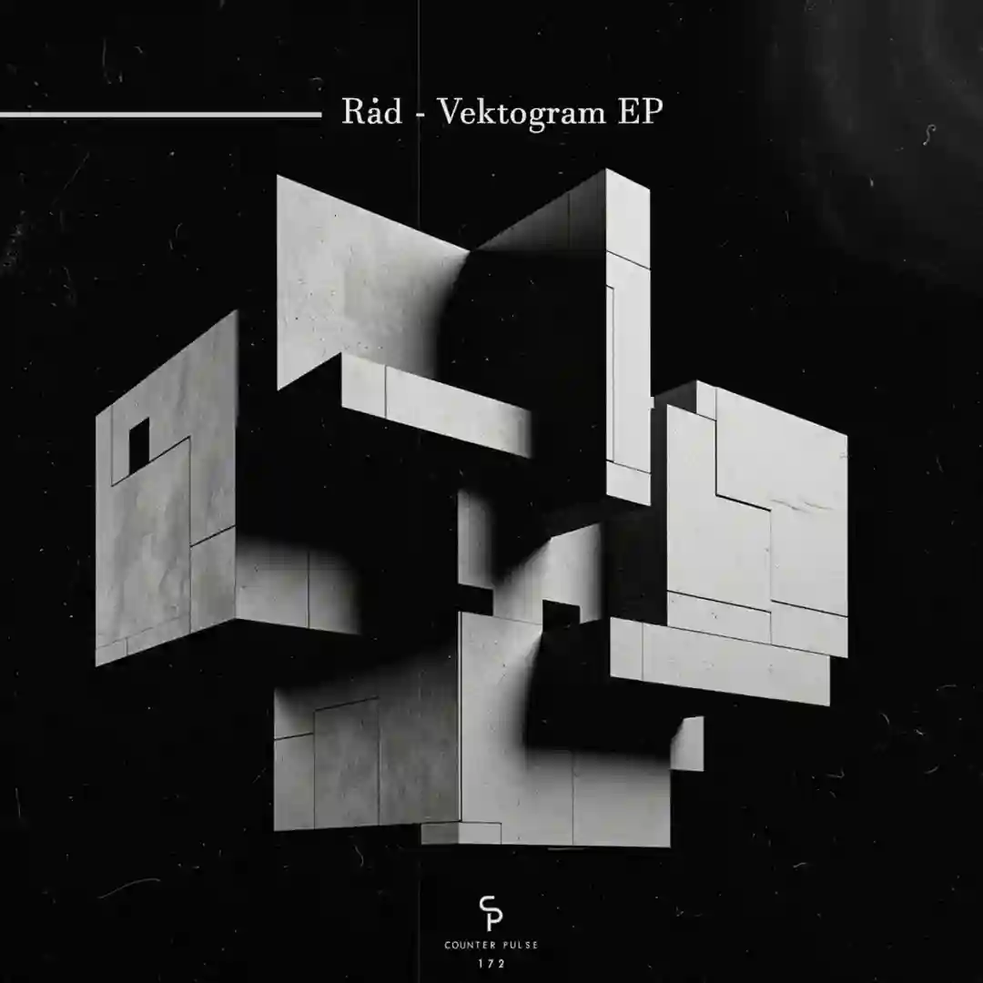 Vektogram (Original Mix) cover