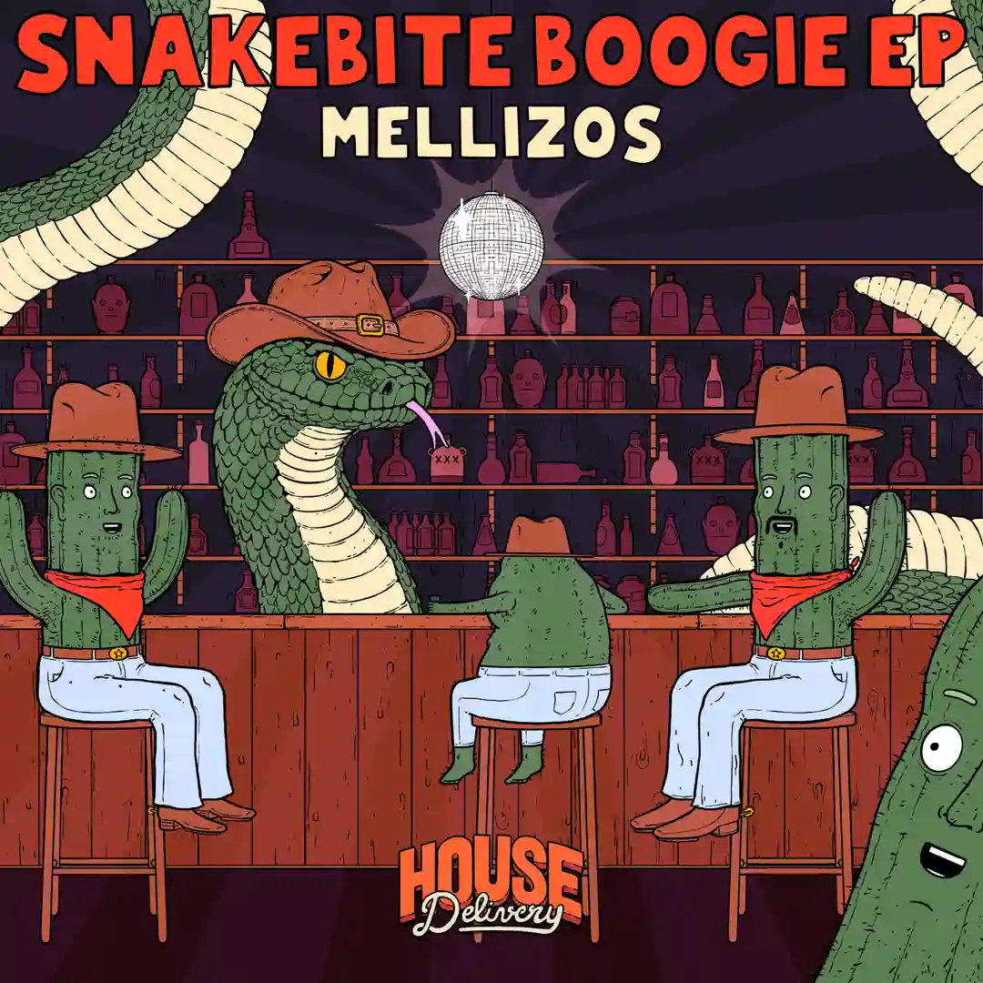 The Groovaholic (Extended Mix) cover