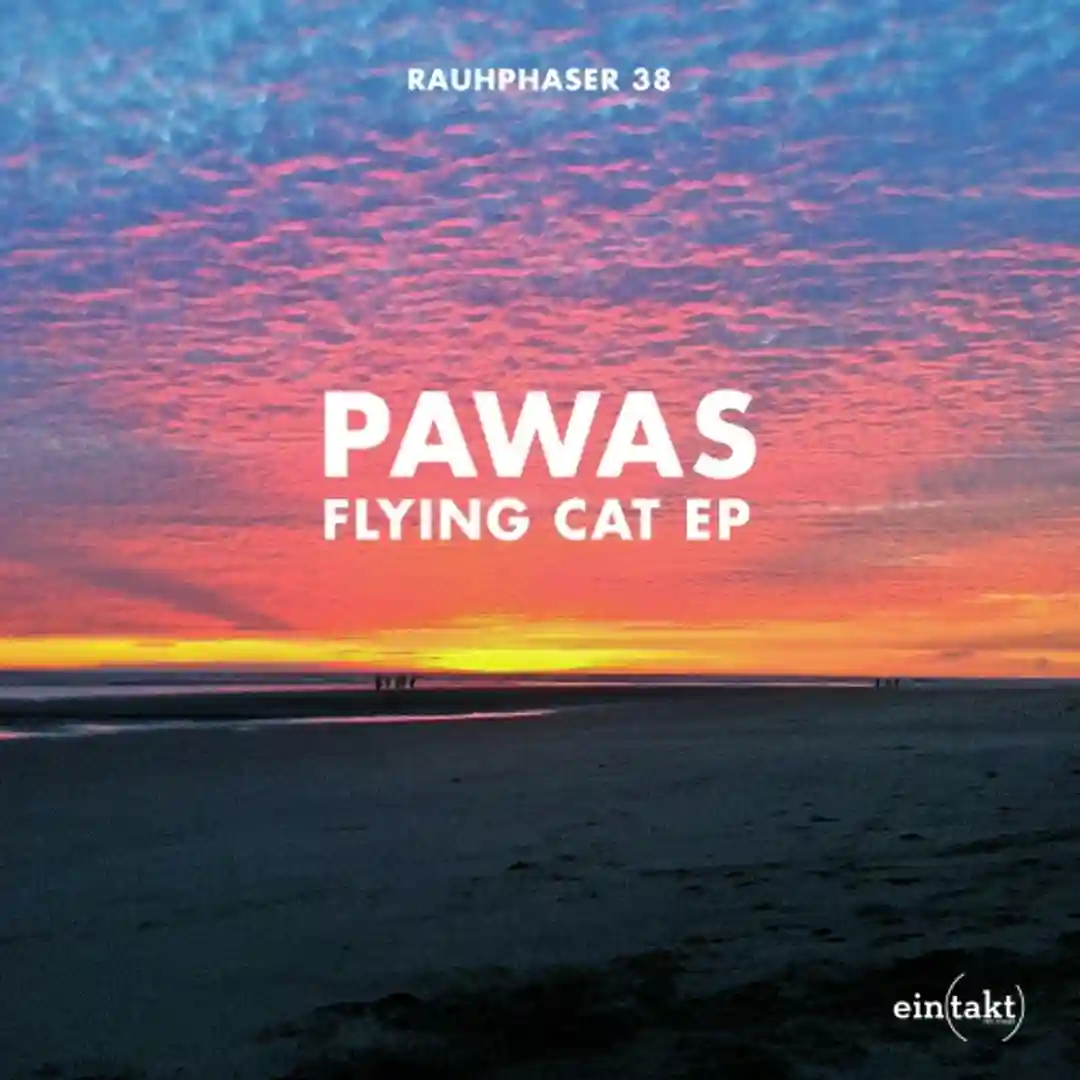 Flying Cat (Original Mix) cover