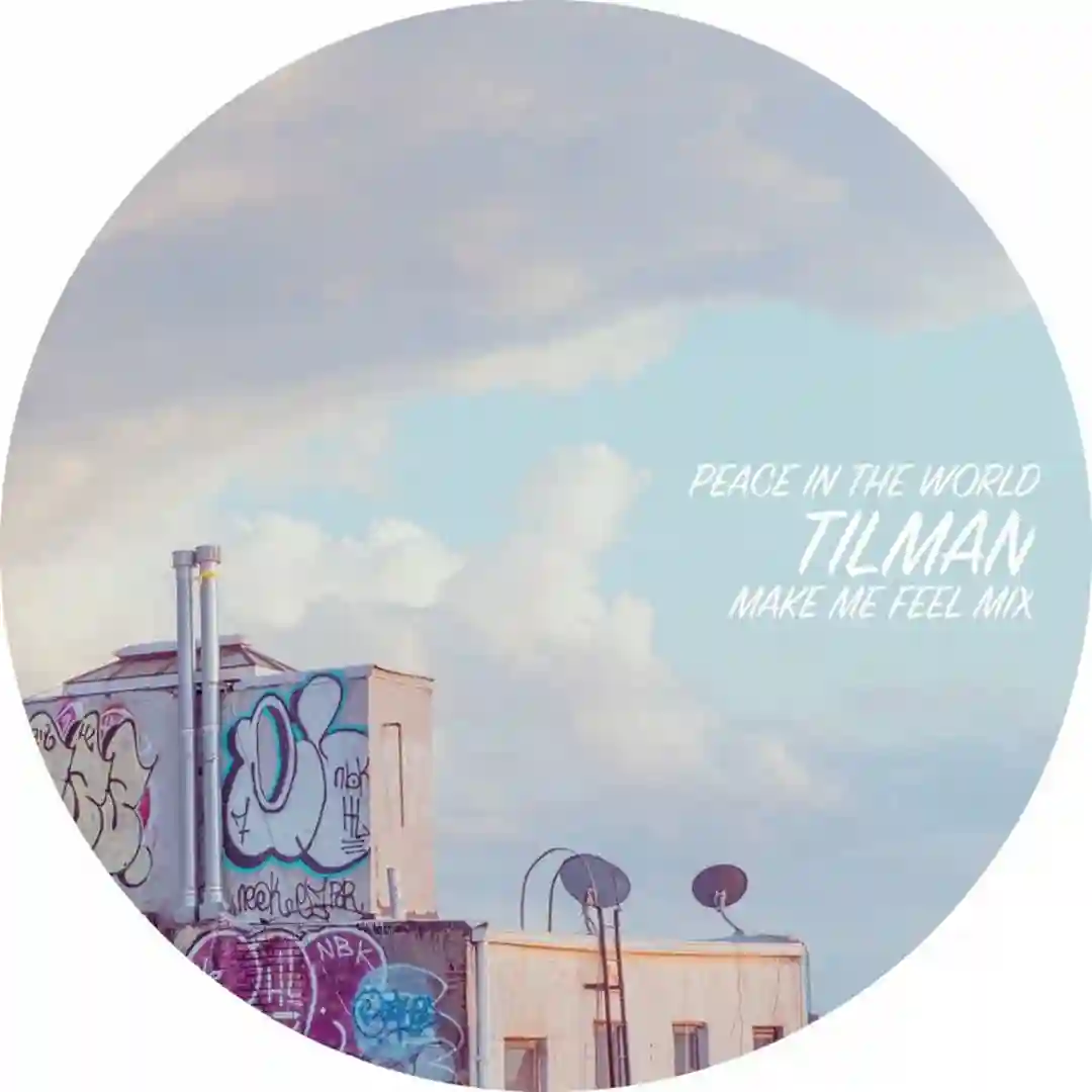 Peace In The World (Tilman 'Make Me Feel' Mix) cover