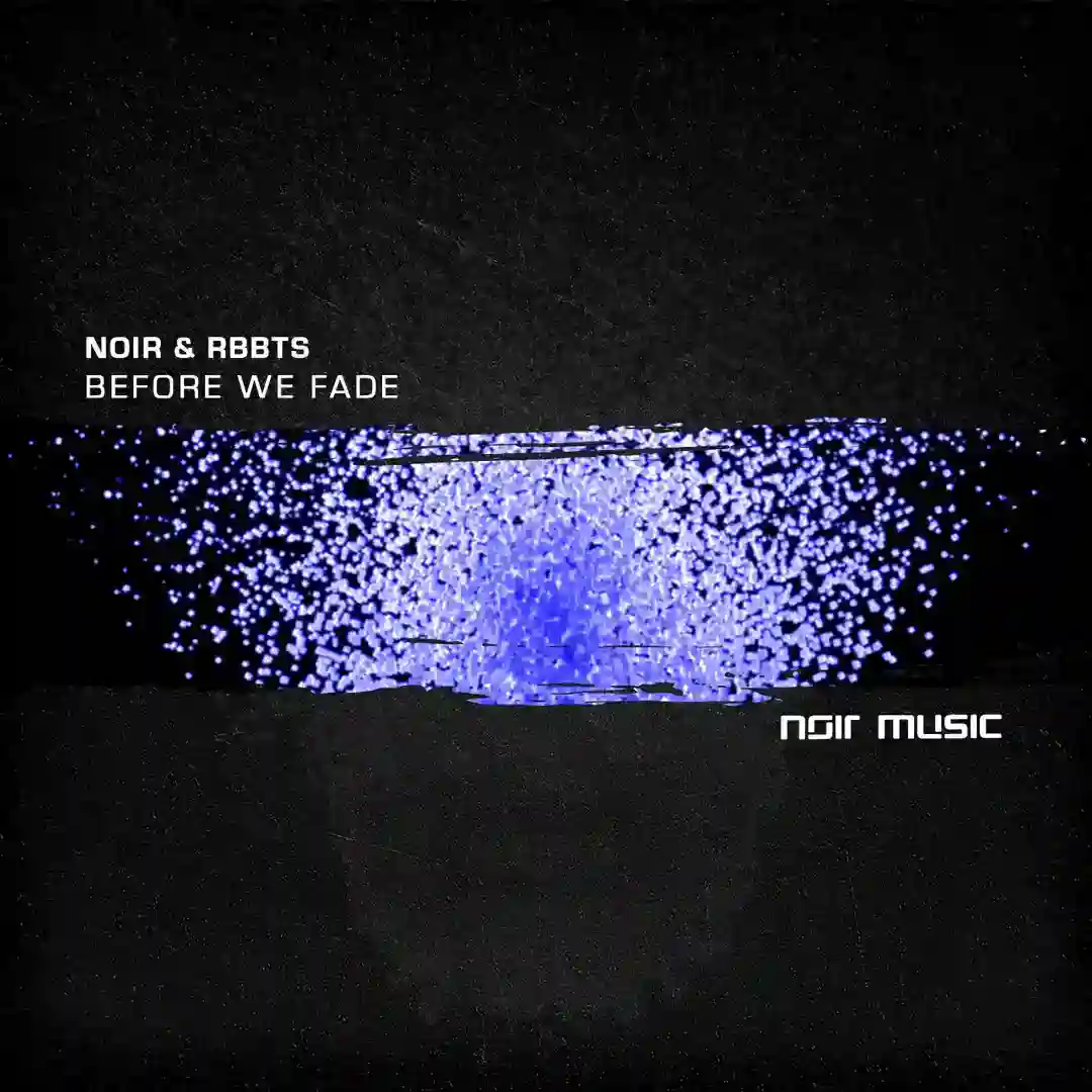 Before We Fade (Original Mix) cover