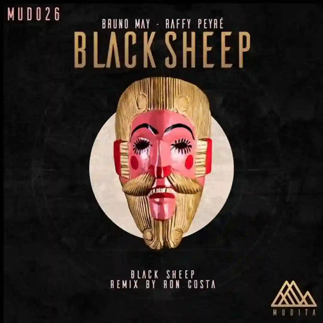Black Sheep (Original Mix) cover