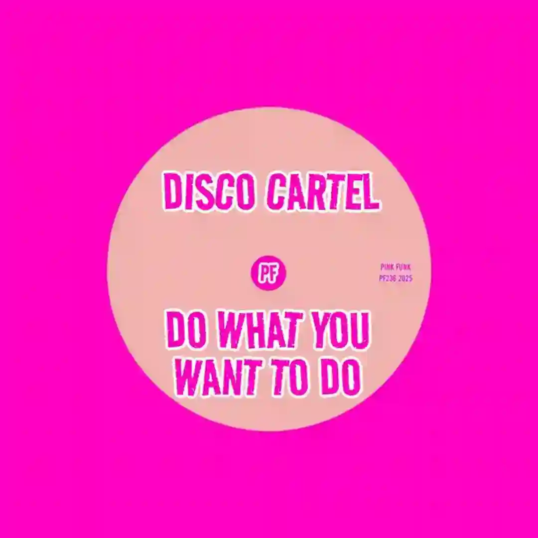 Do What You Want To Do (Original Mix) cover