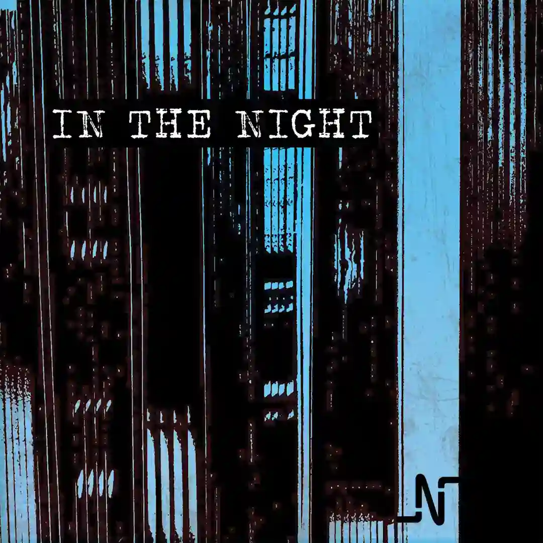 In The Night (Noir Restrospective Radio Remix) cover