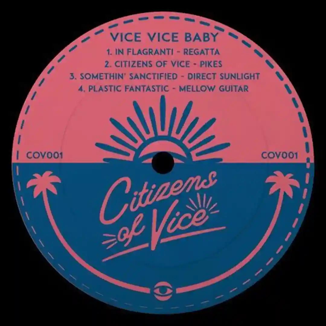 Vice Vice Baby cover