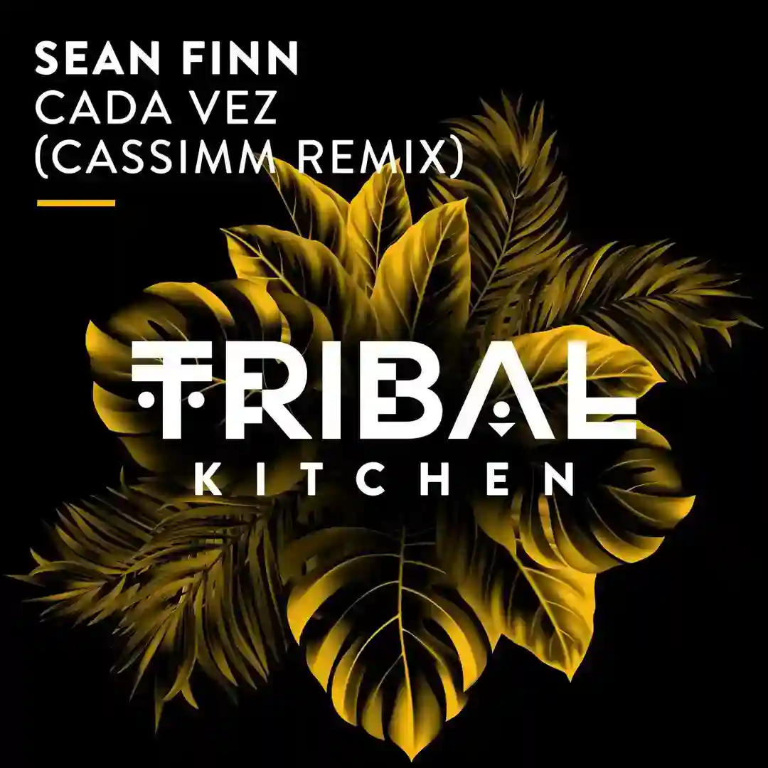 Cada Vez (CASSIMM Extended Remix) cover