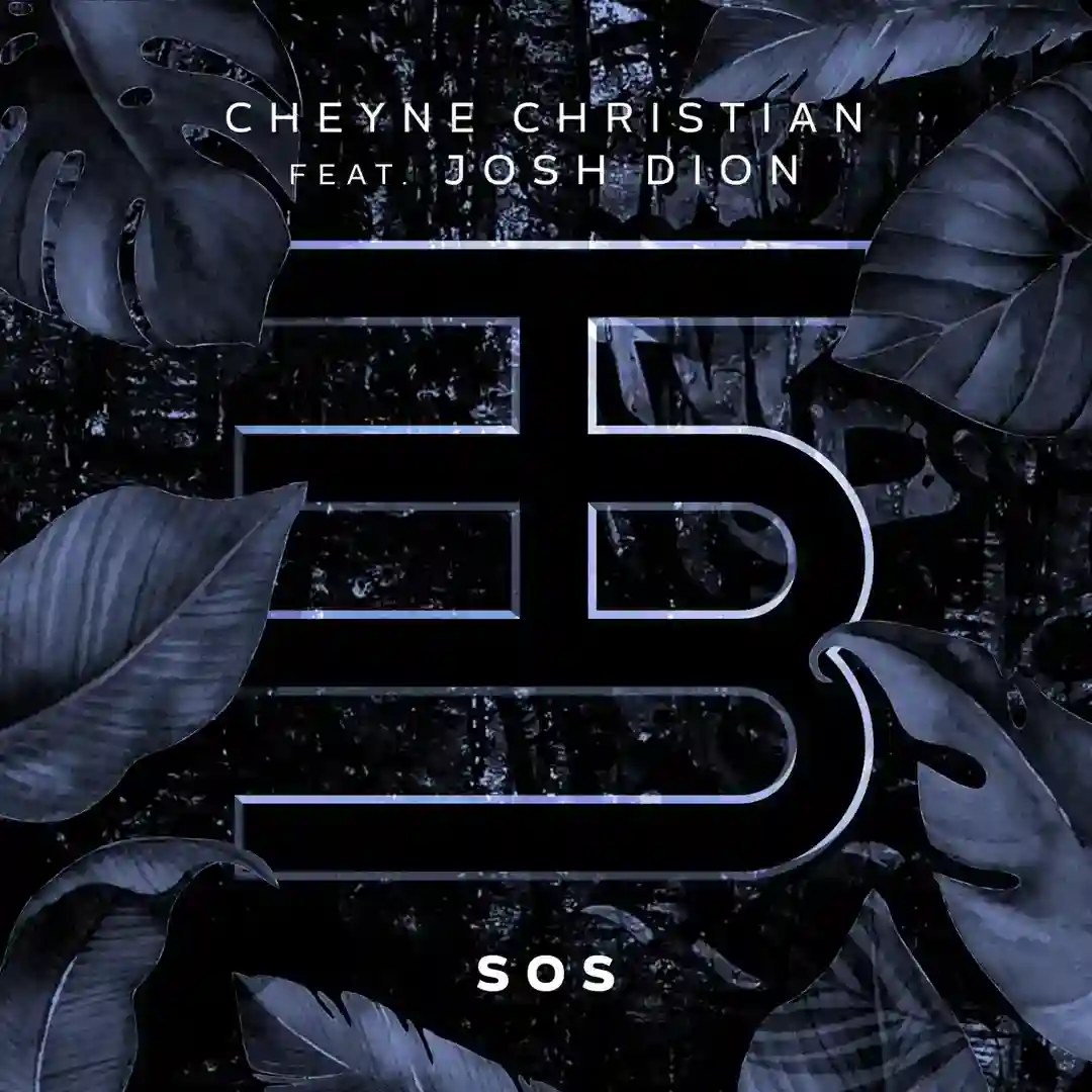 SOS (Original Mix) cover