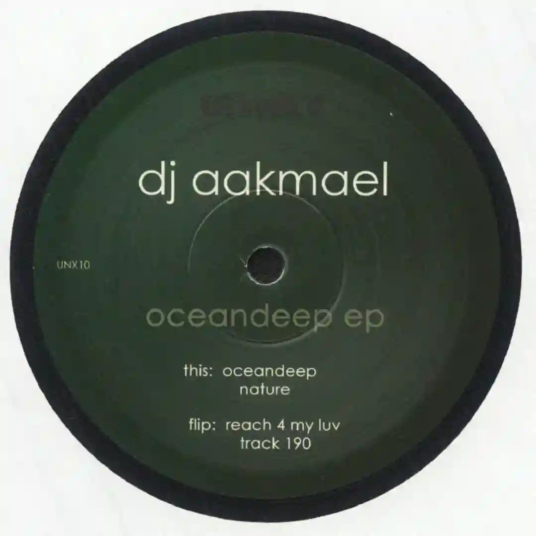 Track 190  (Original Mix) cover