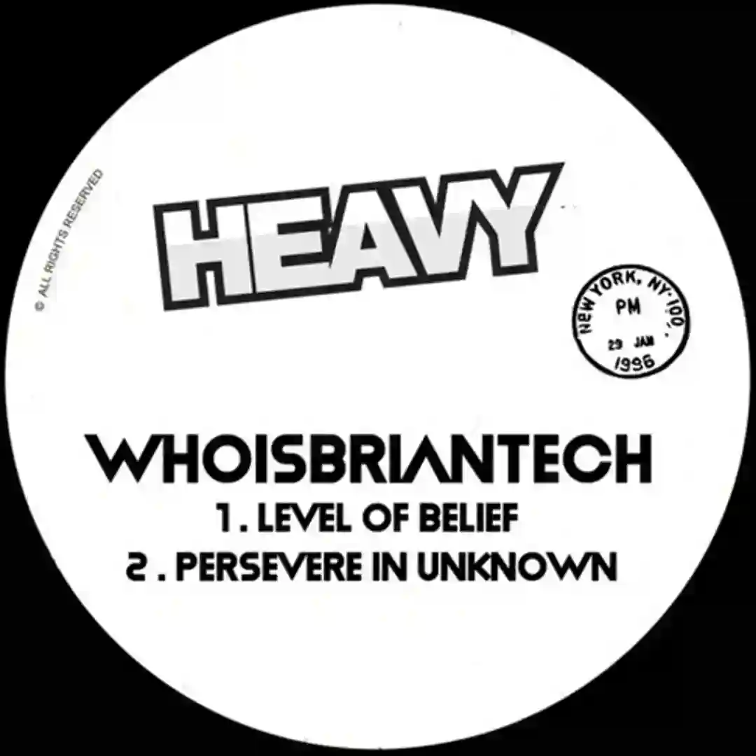 Level Of Belief / Persevere In Unknown cover