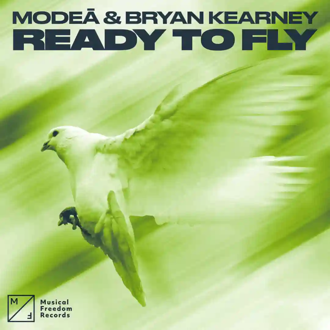 Ready to Fly (Extended Mix) cover