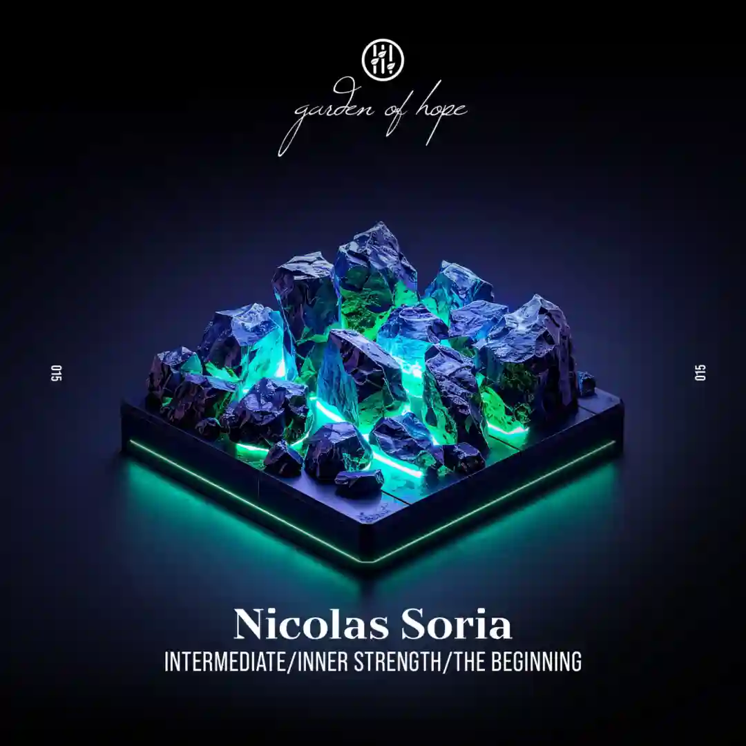 Intermediate (Original Mix) cover