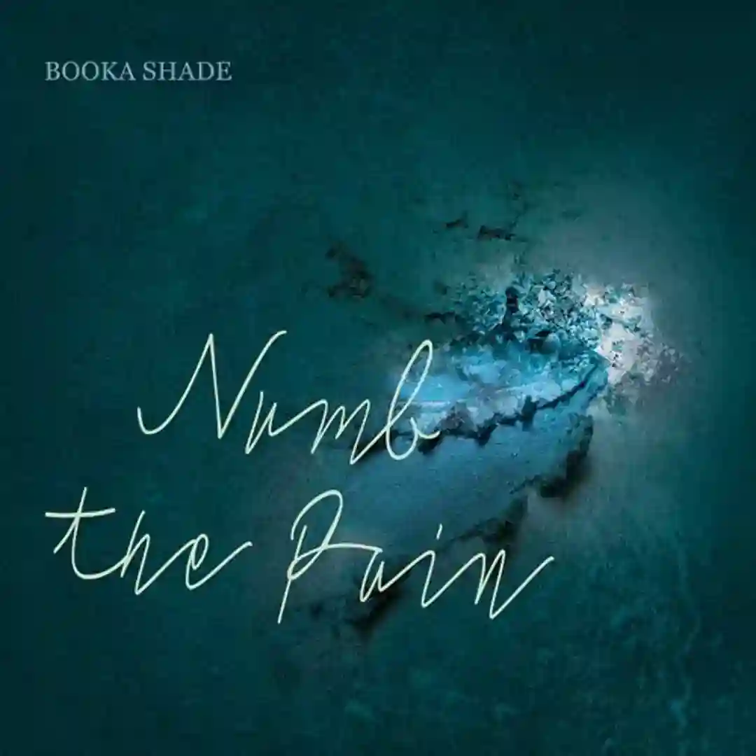 Numb the Pain cover