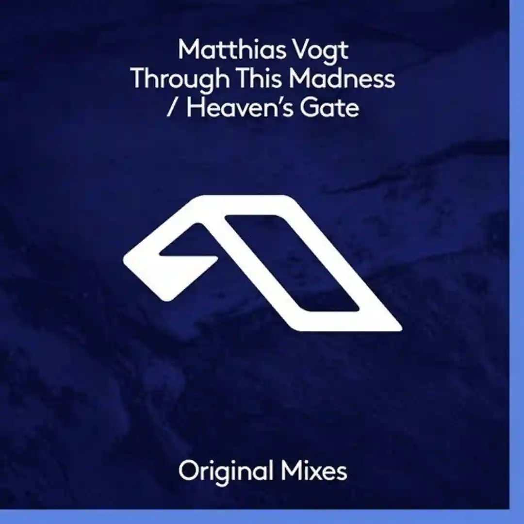 Through This Madness feat. Charles Simmons (Original Mix) cover