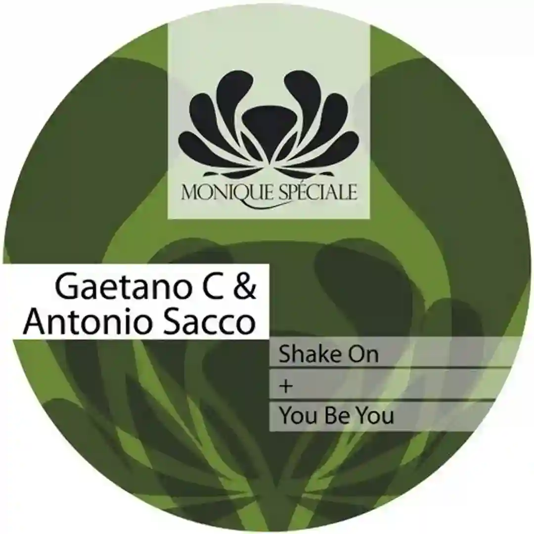 Shake On (Original Mix) cover