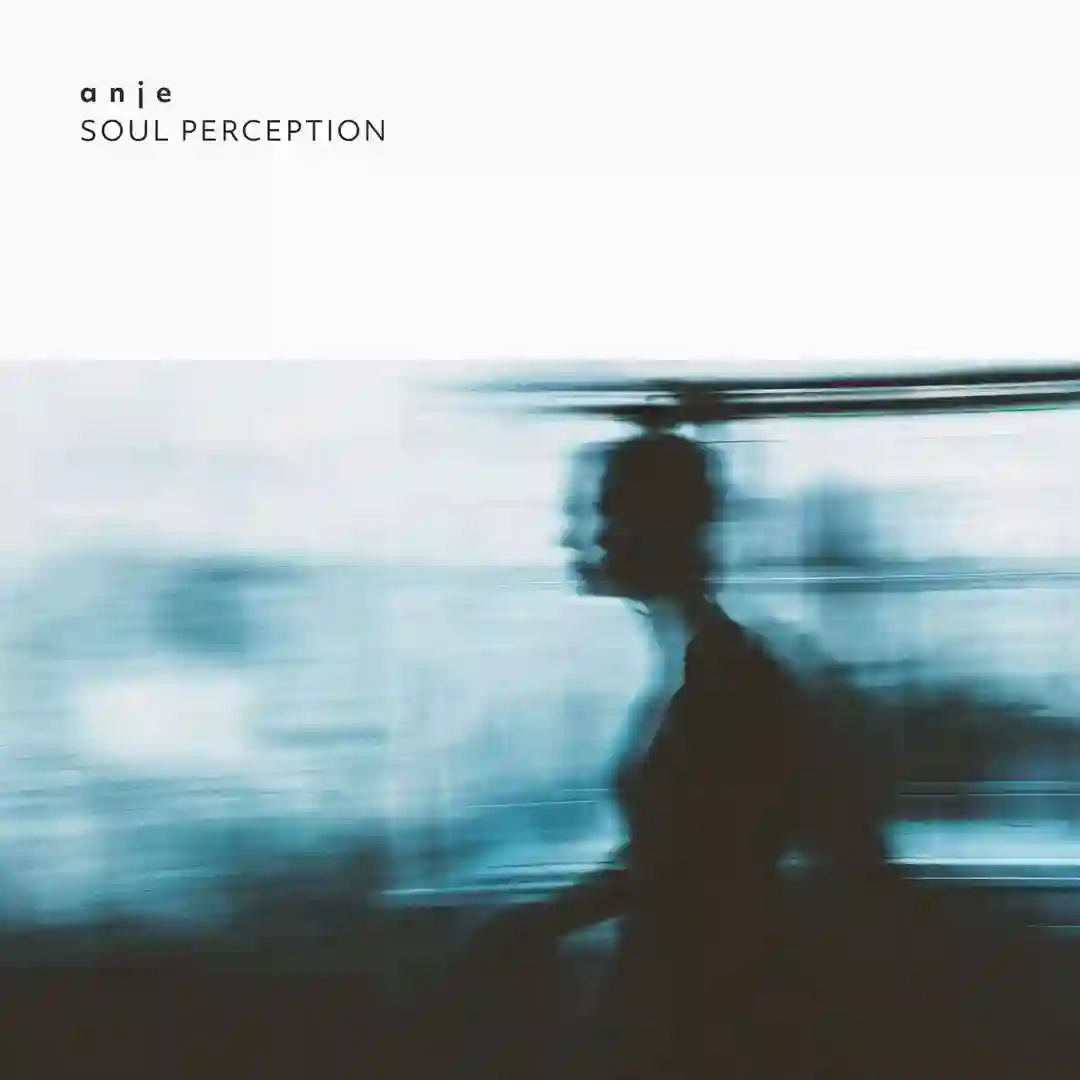 Soul Perception (Original Mix) cover