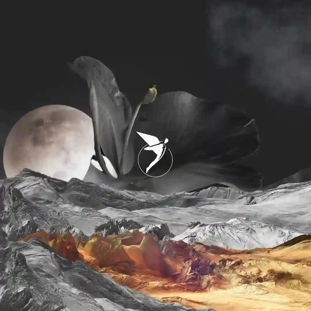 Introspection (Original Mix) cover