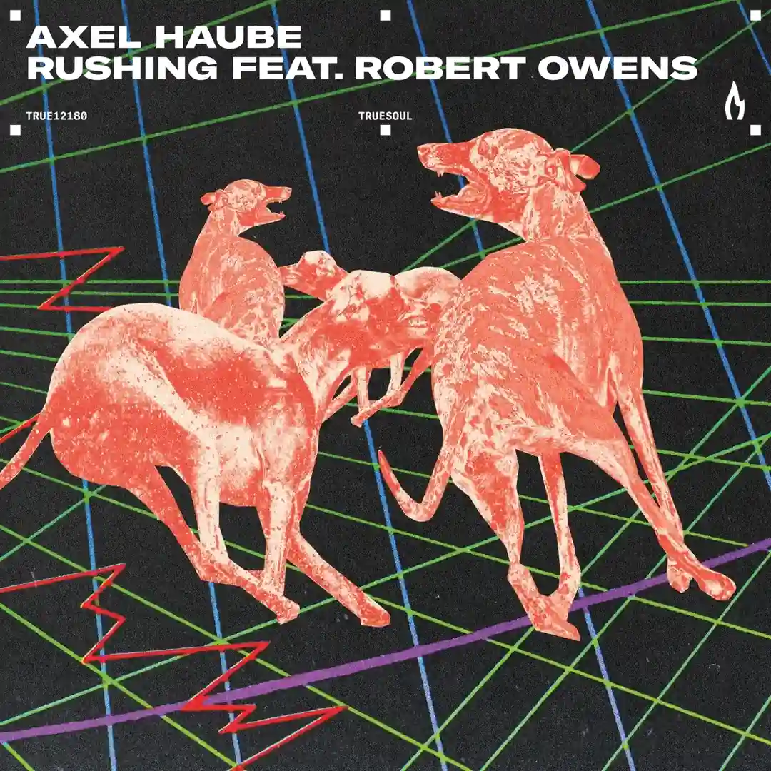 Rushing (feat. Robert Owens) (Original Mix) cover