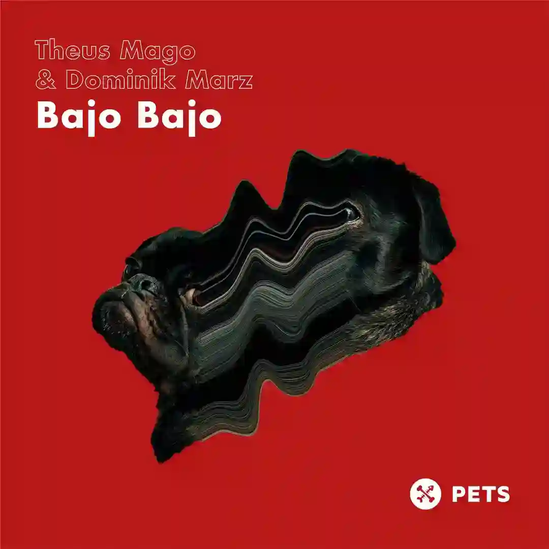 Bajo Bajo (Ketiov Lab Mix) cover