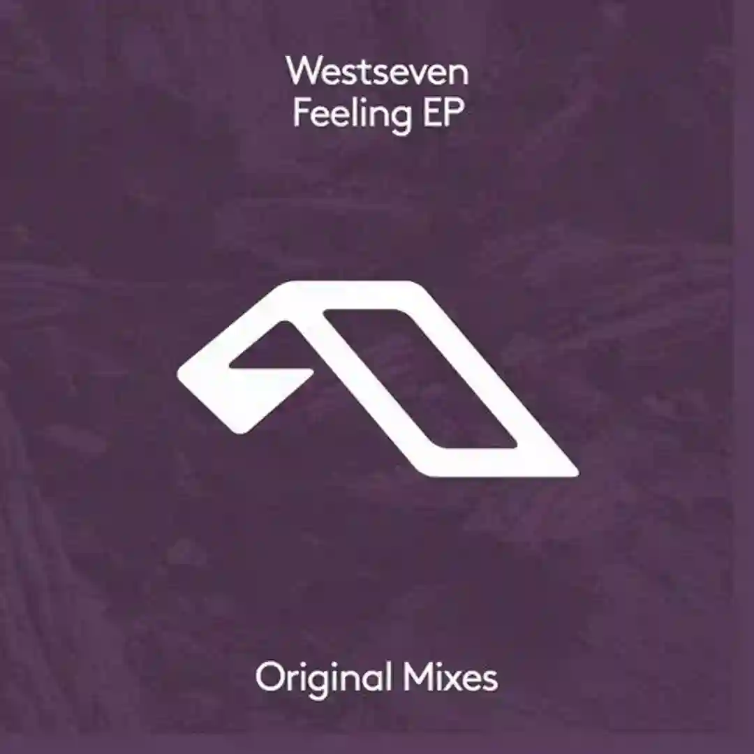 Lost Language feat. Ross Farren (Extended Mix) cover