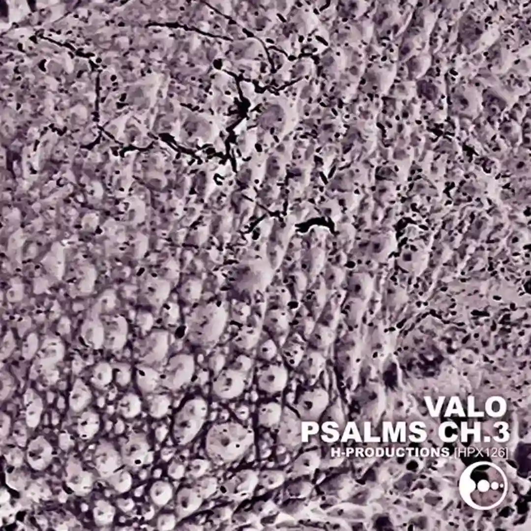 Psalms Ch.3 cover