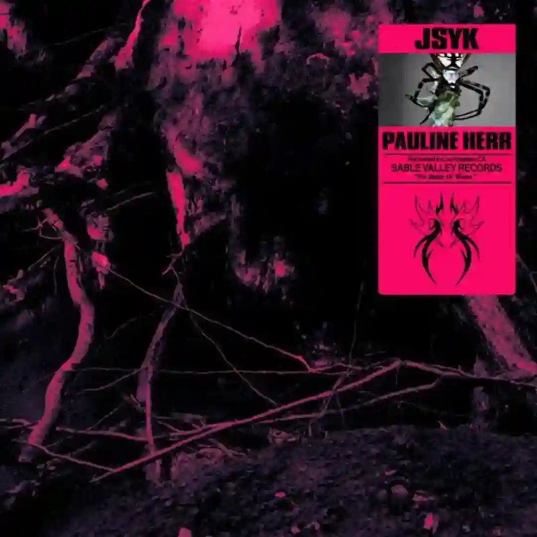 JSYK cover