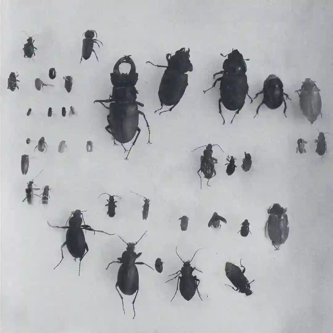 Least At Last cover