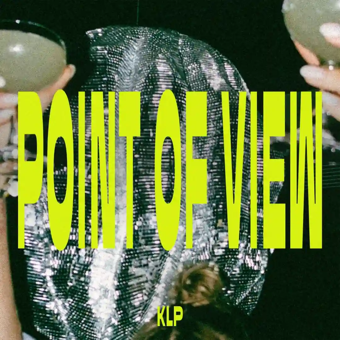Point of View (Extended Mix) cover